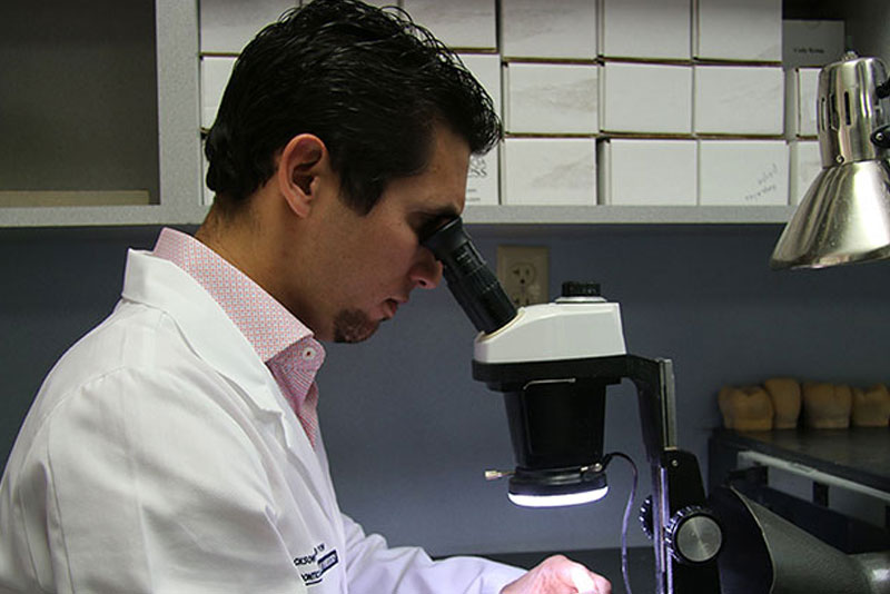 dr rodriguez